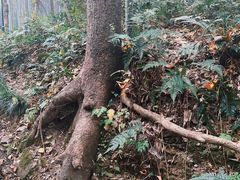-杭州黄龙洞