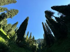 -新疆那拉提国家旅游度假区