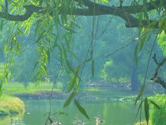 -北京麋鹿生态实验中心