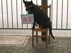 -糯米团油茶早餐铺
