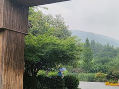 -习家池