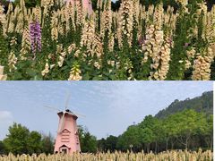 -顺峰山公园
