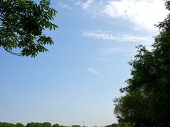 -石家庄市植物园