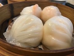 招牌虾饺皇-添运来(茶园奥园广场店)