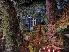 -星巴克(福州三坊七巷店)