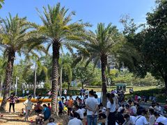 -宝安西湾红树林湿地公园