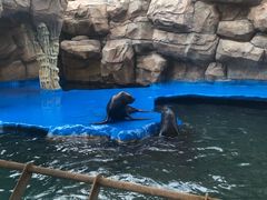 -华夏文旅海洋公园