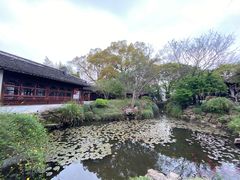 -上海醉白池公园