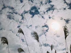 -东平洲海岸公园
