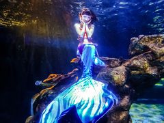 -太平洋海底世界