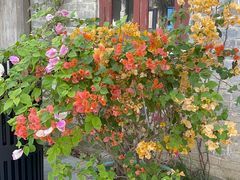 -赤坎·广东华侨国际旅游度假区