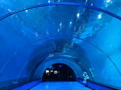 -海合安青岛极地海洋公园