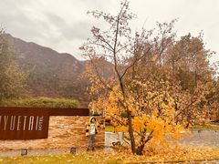 -金岳台私汤温泉度假山庄·创意餐厅(昌平十三陵店)
