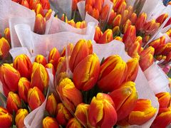 -循礼门鲜花花市(武汉循礼门店)