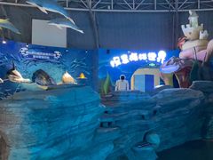 -烟台海昌鲸鲨海洋公园