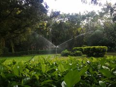 -深圳国际园林花卉博览园