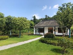 -龙寺生态园