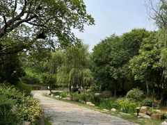 -茅山东方盐湖城景区