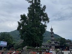 -崇州市街子古镇