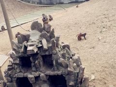 -平湖九龙山旅游度假区