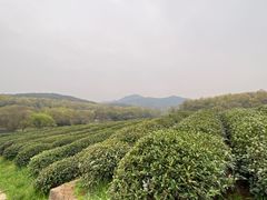 -茅家埠