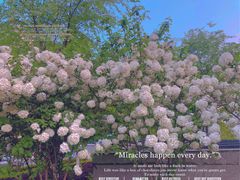 -大龙山(地铁站)