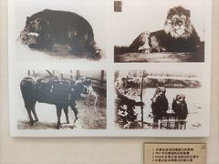 -北京动物园-畅观楼