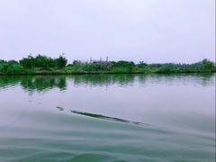 -三垟湿地