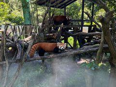 -杭州少年儿童公园
