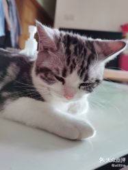 -INLIFE HAIR 韩国美发