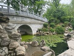 -莲湖公园