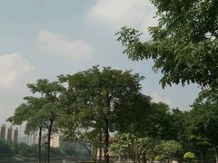 -怡海公园(桂城街道)