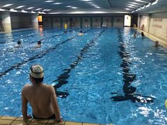 -齐汇维景大酒店游泳馆(山东政协大厦齐汇维景)