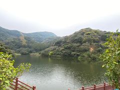 -黄埔油麻山森林公园