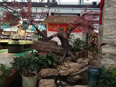 -森谷美食公园(杨行店)