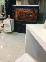 点击看大图 iphone_upload_pic-尚·丹尼Hair