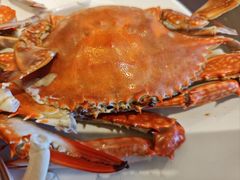 -赶海部落海鲜城(海阳路店)