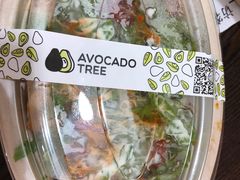 -油梨树AVOCADO TREE(顺义新国展店)