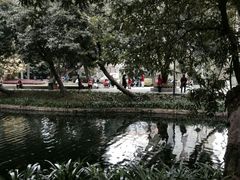 -晓港公园