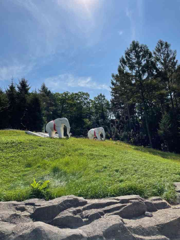 哈尔滨卧龙岗陵园,原名"王宝岭".相传唐开元年(即公元713年).