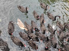 -长白岛森林公园