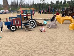 -上海长兴岛郊野公园