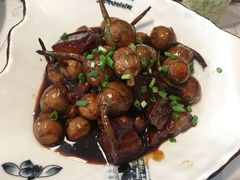 野生小茨菇烧肉-润禾烤全羊