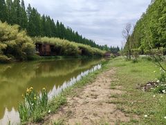 -黄海国家森林公园