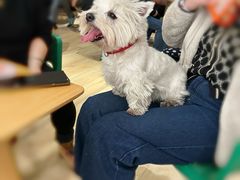 -COMMUNE幻师(五角场店)