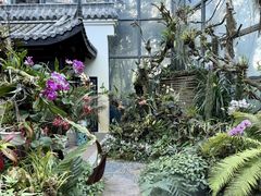 -东莞植物园