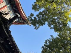 -西安大兴善寺