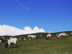 -青海湖国家重点风景名胜区