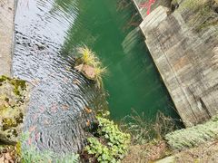 -千岛湖东南湖区