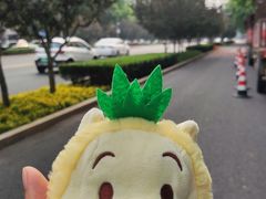 -风云再起游乐汇(北京西单西西友谊店)